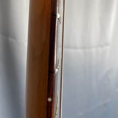 Tagima Classic Series Stella DW Amber image 5