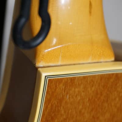 Immagine ADAM JONES PARABOLA LOOKALIKE - Gibson Les Paul Custom 1978 - Natural - 14