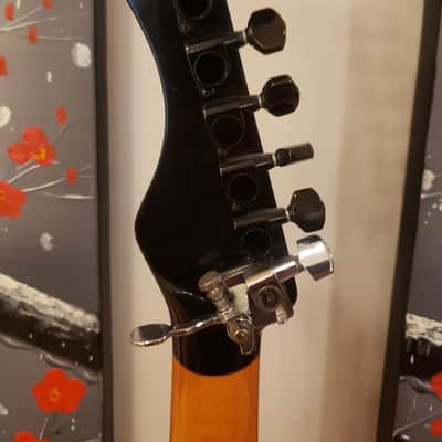 Roscoe #2: 1984 custom stratocaster guitar image 7