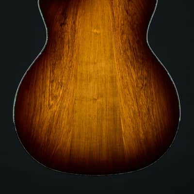 Taylor PS14ce Presentation Series Honduran Rosewood and Adirondack Spruce with Pickup Used (2025) image 5