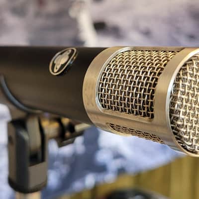 Stirling Audio ST31 FET Hypercardioide Condenser Microphone Mic ST31 2020 for Vocals Guitars Drums etc image 4