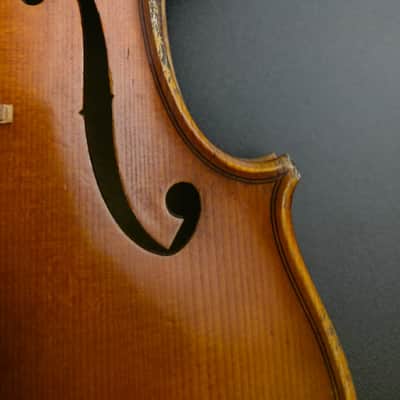 Early 20th century central european violin – labelled Giuseppe Pedrazzini – 350 mm LOB image 4