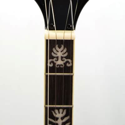 Washburn B10-A 5 String Banjo 2021 image 3