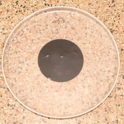 Rogers 16" Clear Black Dot Drum Head Vintage 1970's image 4