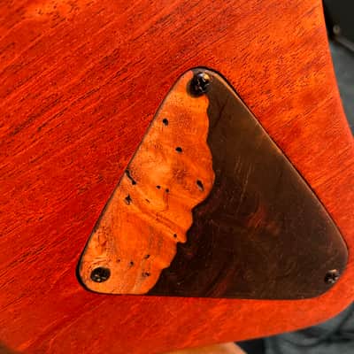 Polar Guitars Multiscale Handmade in Sweden image 4