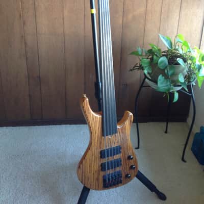 Roscoe LG-2000 flattop fretless image 1