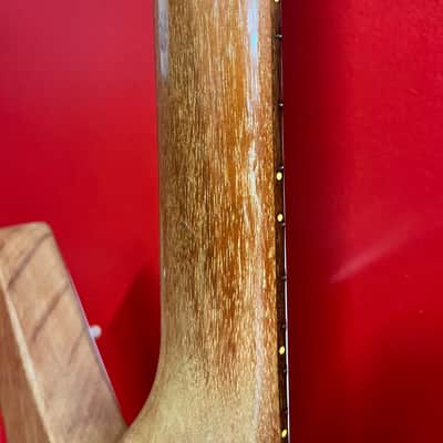 Gibson Explorer Limited Edition 1976 The Edge (U2) James Hetfield (Metallica) image 8
