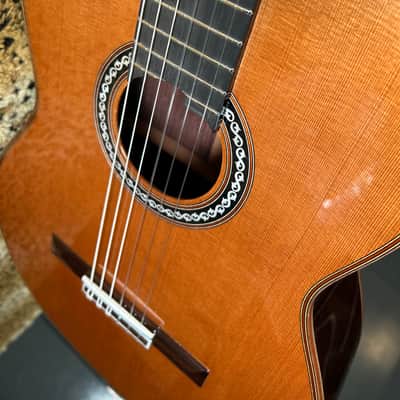 Cordoba C10 CD Cedar Classical Guitar Natural 2025 image 8