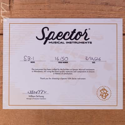 Immagine Spector USA SB-1 Reissue Limited Edition Rainbow Alder - 12