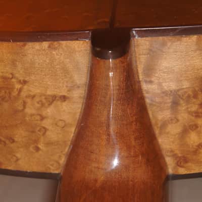 Darren Hippner Birdseye Classical Guitar Torres 2021 B Stock image 8