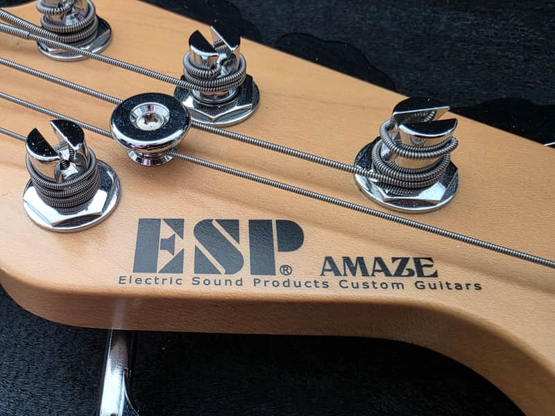 ESP Amaze
