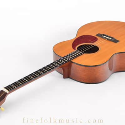 2008 GOLDTONE TG-18 TENOR GUITAR image 7