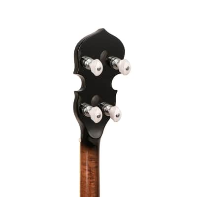 Gold Tone TS-250 Tenor Special 4-String Banjo w/Hardshell Case image 4