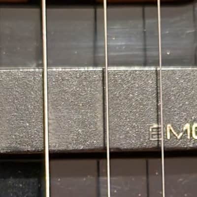 PRINCE Owned and Used Fender Thinline Telecaster with Paisley Park Document. image 13