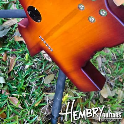 HEMBRY Tele style Texas Map guitar 2025 image 7