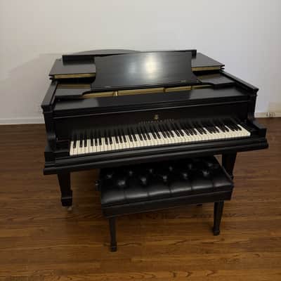 Steinway & Sons Model A 1917 Grand Piano – 6'2" – Professionally Restored – Satin Ebony image 4