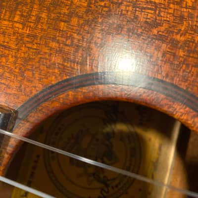 Vintage 1960's Favilla Baritone Ukulele image 25