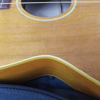 Vintage Circa 1967 Mosrite Serenade Acoustic Guitar Project w/ Gig Bag! image 5