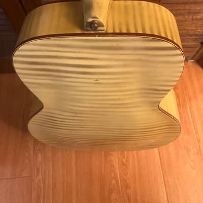Sears Brand Archtop Jazz Guitar 1960 - Off-white with painted Zebra stripe image 7