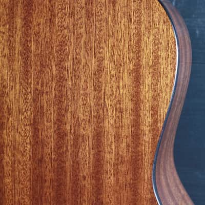Eastman Guitars E1P-DLX-SB Parlor Size Acoustic w/ LR Baggs Pickup image 7
