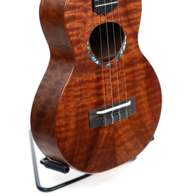 Special Issue KoAloha KCMR-10SI Curly Sapele Rosette Concert Satin Ukulele image 2