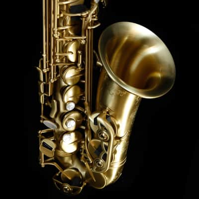 Selmer AS42M Professional Eb Alto Saxophone, Matte Finish image 6