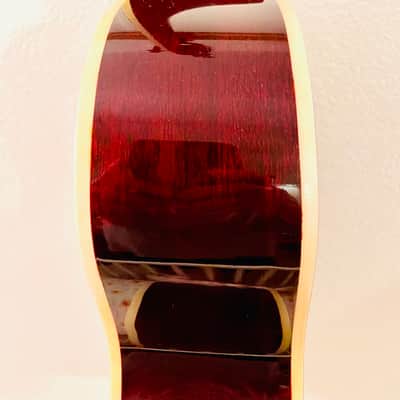 Washburn  F-10S Acoustic Folk Guitar Solid Spruce Top Mahogany Back Sides 2020 Natural/Cherry image 22