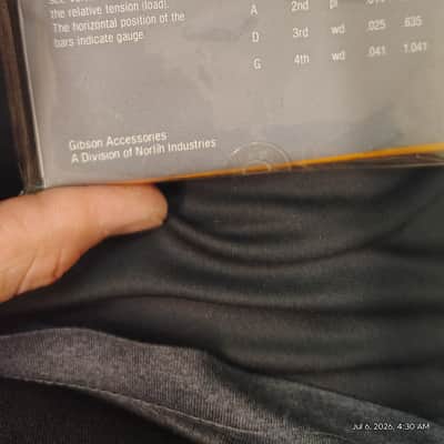 Gibson G161 Mandolin strings image 2