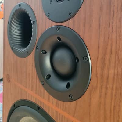 Revival audio  Atalante 7 Evo da esposizione image 14