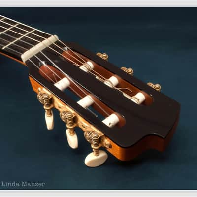 Linda Manzer Nylon String image 6