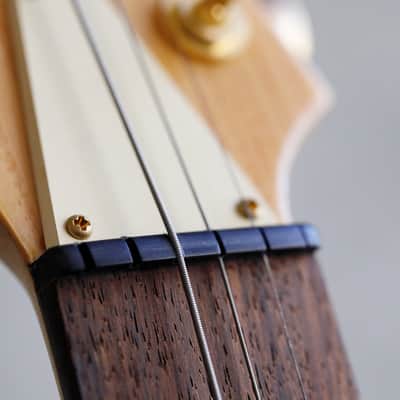 Paul Gilbert Owned Guitar Fundraiser #3, The Rarest Doubleneck! image 9
