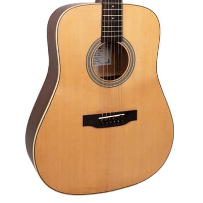 Gold Tone GT-Dread-NA Solid Sitka Spruce Top Mahogany Neck 6-String Acoustic-Electric Guitar w/Gig Bag image 1