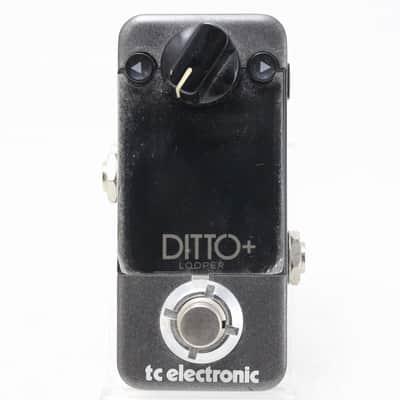 Tc Electronic Ditto+ Looper [S210400793 Dlq] (06/01) image 6