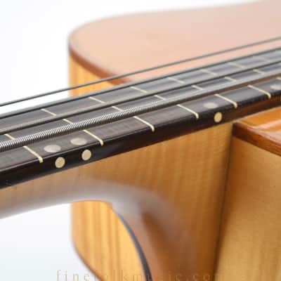 Barry Ford Acoustic Bass Guitar 1996 image 20
