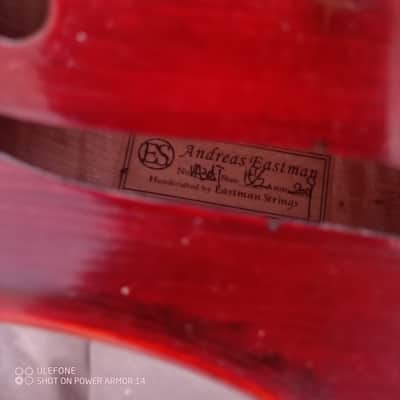 Very fine Viola 5 Strings A.Eastman 2009 image 16