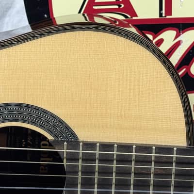 Cordoba Limited Edition Masters Series Torres Classical Acoustic Guitar with Case image 4