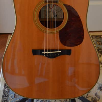 Alvarez 2560 Silver Anniversary Acoustic Guitar image 1