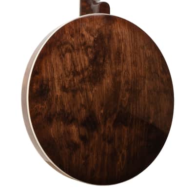 Gold Tone BG-150F: Bluegrass Banjo with Flange and Bag image 20