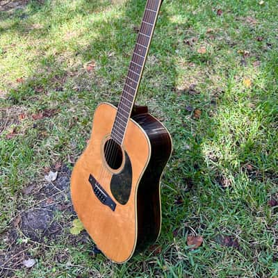 1970s Fender F-80-12 12 String Acoustic image 3