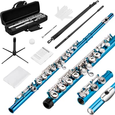 POGOLAB Flutes Closed Hole C 16 Keys Flute Instrument for Beginner Kid Orchestra School Band Student with Flute Carry Bag Stand Strap Probe Rod Gloves Grease Adjustment Screwdriver Cleaning Kit image 1