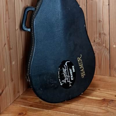 Hamer Special, Bj. 1981 made in USA, Chequerboard Logo image 3