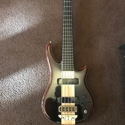 Immagine Alembic Essence 5 string - 1