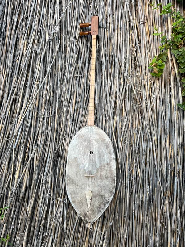 Authentic Tovshuur (Topshur) Traditional Mongolian Two/Three-Stringed Lute 2023  - Natural image 1