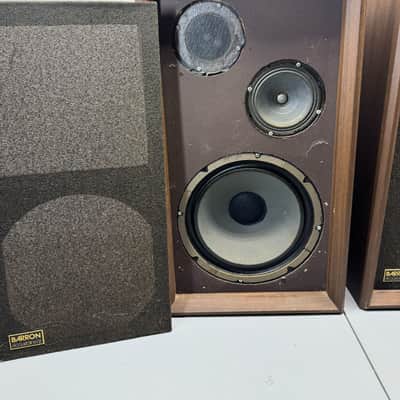 Barron Acoustalinear Vintage Floor Speakers HiFi Stereo Adjustable 3-Way Speaker image 4