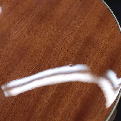 Ibanez B200 Banjo Sapele Body Purpleheart Fretboard 5-String Resonator Banjo image 15