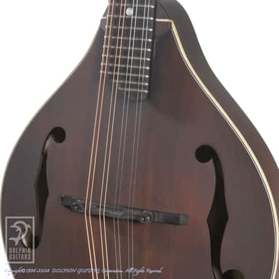 Eastman MD-305 image 10