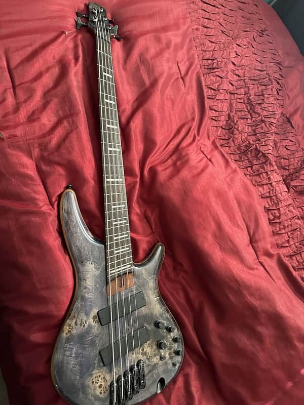 Ibanez Ibanez SDGR 5-String 2021 - Purple Burl image 1