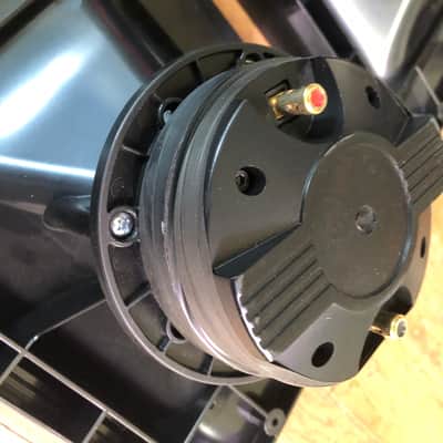 Electrovoice EKX-15P horns with compression drivers image 3