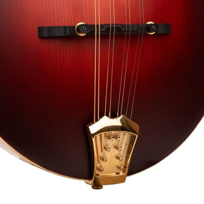 Gold Tone GM-80 F-Style Mandolin with Case image 3