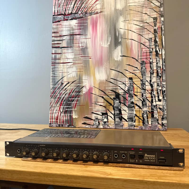 Vintage Ibanez Japan DM-1000 Digital Delay Rack Mount Guitar PA Effects Japan image 1